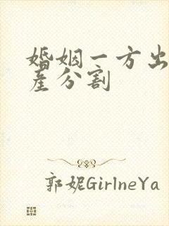 婚姻一方出轨财产分割