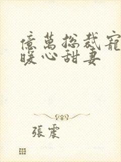 亿万总裁宠上天暖心甜妻