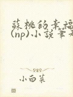 苏桃的幸福生活(np)小说笔趣阁