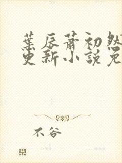 叶辰萧初然最新更新小说免费阅读