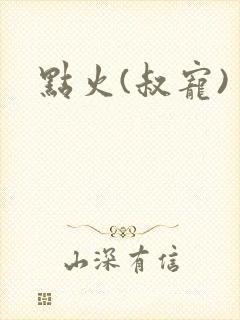 点火(叔宠)