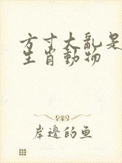 方寸大乱是什么生肖动物