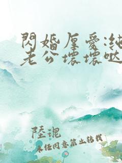 闪婚厚爱:纯禽老公坏坏哒