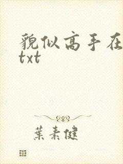 貌似高手在异界txt