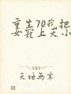 重生70我把妻女宠上天小说