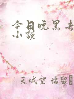 今日晚黑去见你小说