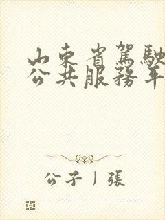 山东省驾驶培训公共服务平台