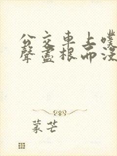 公交车上噗嗤一声尽根而没