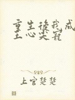 重生后我成了傻王心尖宠