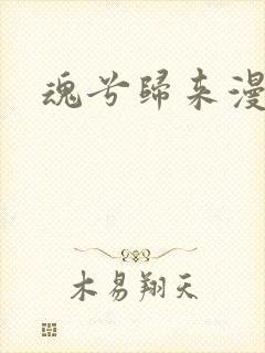 魂兮归来漫蒹葭