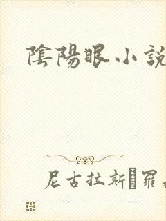 阴阳眼小说