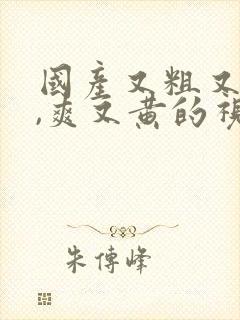 国产又粗又猛又,爽又黄的视频