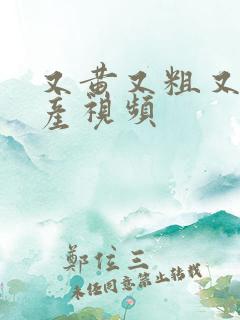 又黄又粗又爽国产视频