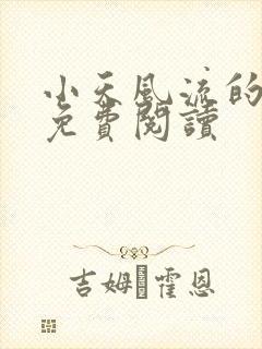 小天风流的小说免费阅读