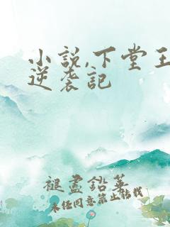 小说,下堂王妃逆袭记