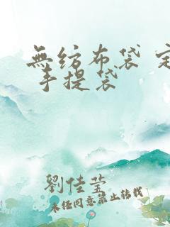 无纺布袋 定做 手提袋