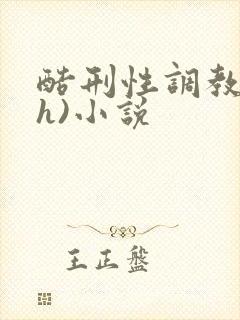 酷刑性调教(高h)小说