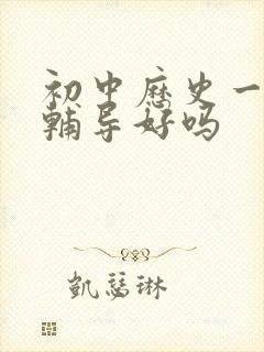 初中历史一对一辅导好吗