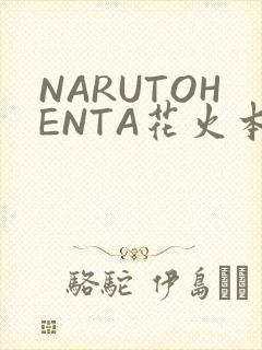 NARUTOHENTA花火本子