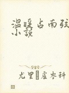 温暖占南弦尹衿小说
