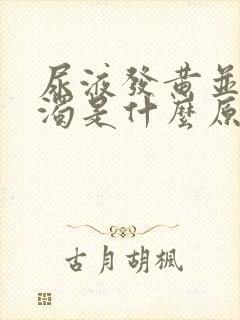 尿液发黄并且浑浊是什么原因