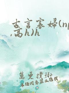 古言寡妇(np,高h)h