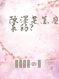 陈泽是怎么火起来的?