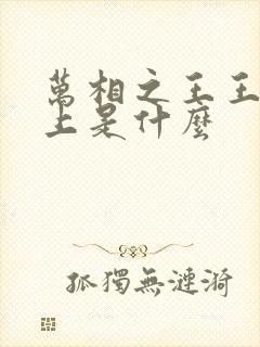 万相之王王境之上是什么