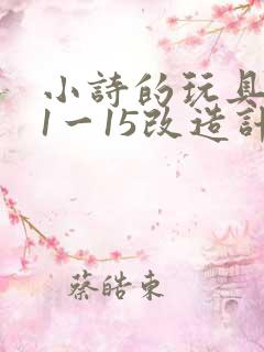 小诗的玩具日记1一15改造计划