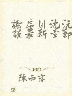 谢序川沈沅珠小说最新章节免费阅读