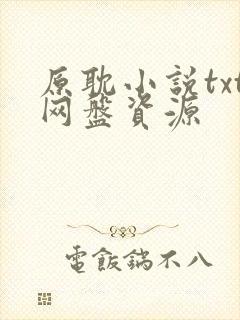 原耽小说txt网盘资源