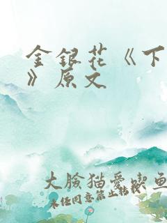 金银花《下厨房》原文