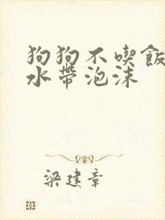 狗狗不吃饭吐黄水带泡沫