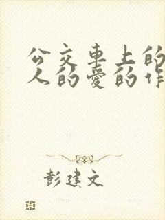 公交车上的陌生人的爱的作文