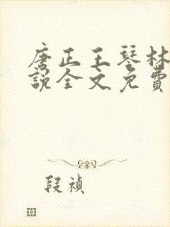 唐正王琴林媛小说全文免费阅读