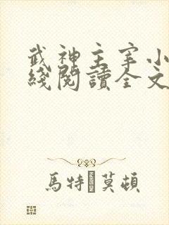 武神主宰小说在线阅读全文