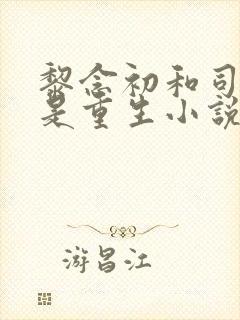 黎念初和司慕城是重生小说