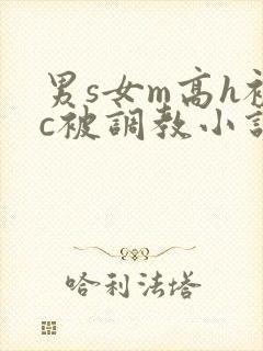 男s女m高h被c被调教小说