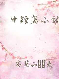 中短篇小说集