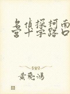 名侦探柯南之迷宫十字路口