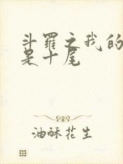 斗罗之我的武魂是十尾