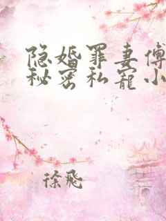隐婚罪妻傅少的秘密私宠小说正版