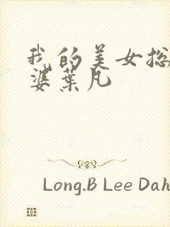 我的美女总裁老婆叶凡