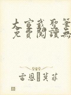 大宣武圣笔趣阁免费阅读无弹窗