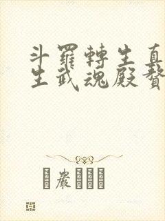 斗罗转生真理医生武魂殿赘婿