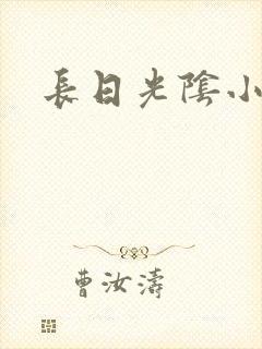 长日光阴小说