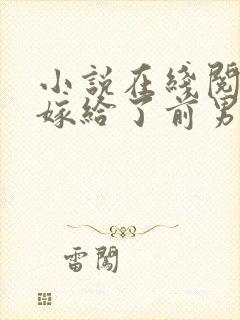 小说在线阅读我嫁给了前男友他堂哥