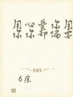 用心爱你用心疼你你却偏要走是什么歌