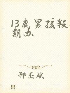 13岁男孩叛逆期办