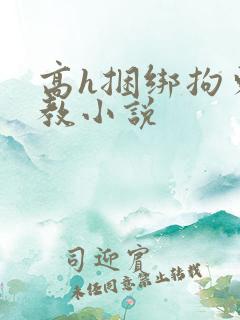 高h捆绑拘束调教小说